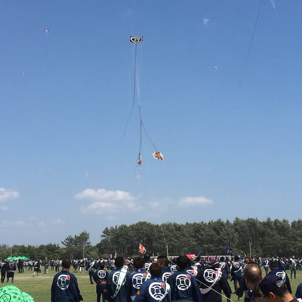 Festival History Video