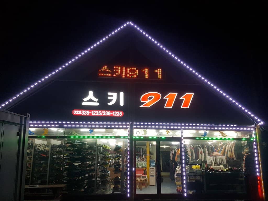 Verbena Flower Fields