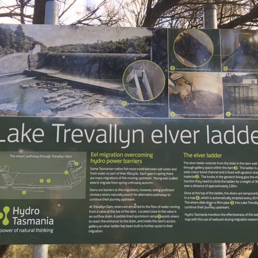 Trevallyn Dam Spillway