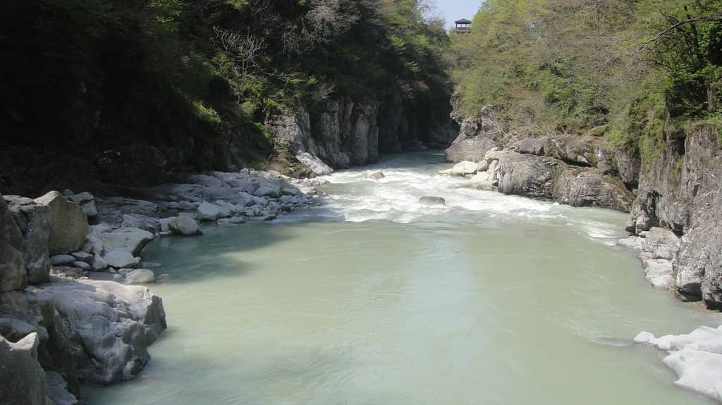 Peaceful Riverside Ambiance