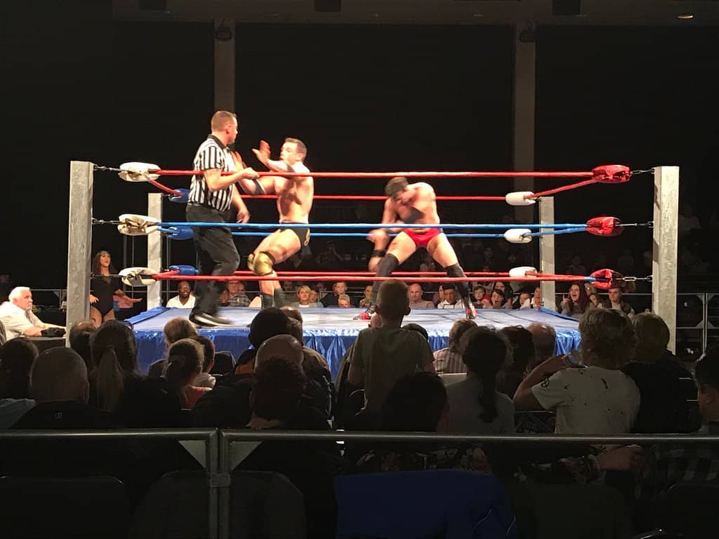 Theatrical & Variety Shows