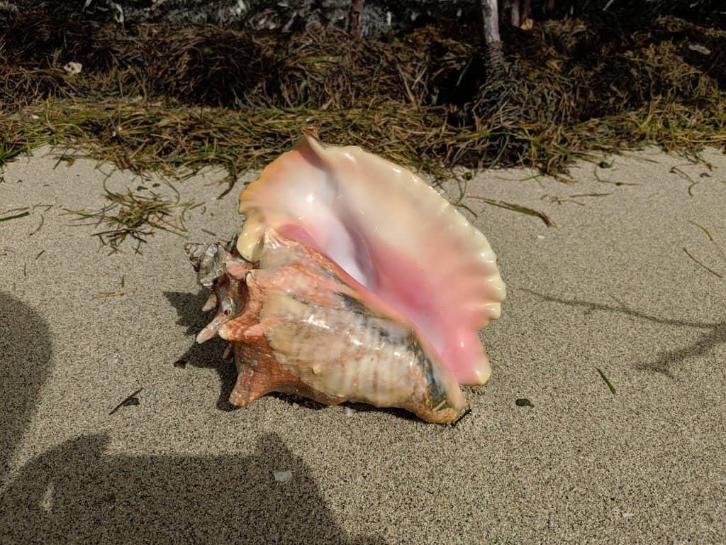 America the Beautiful Quarter