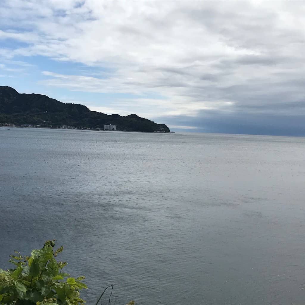 Lush Natural Gardens