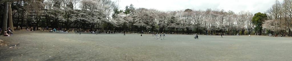 Playground & Picnic Areas