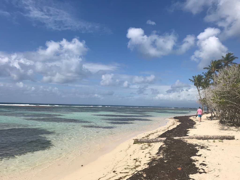 Beachfront Food Trucks