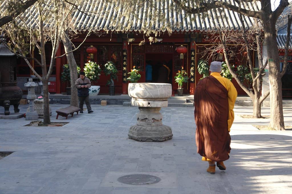 The Grand Courtyards