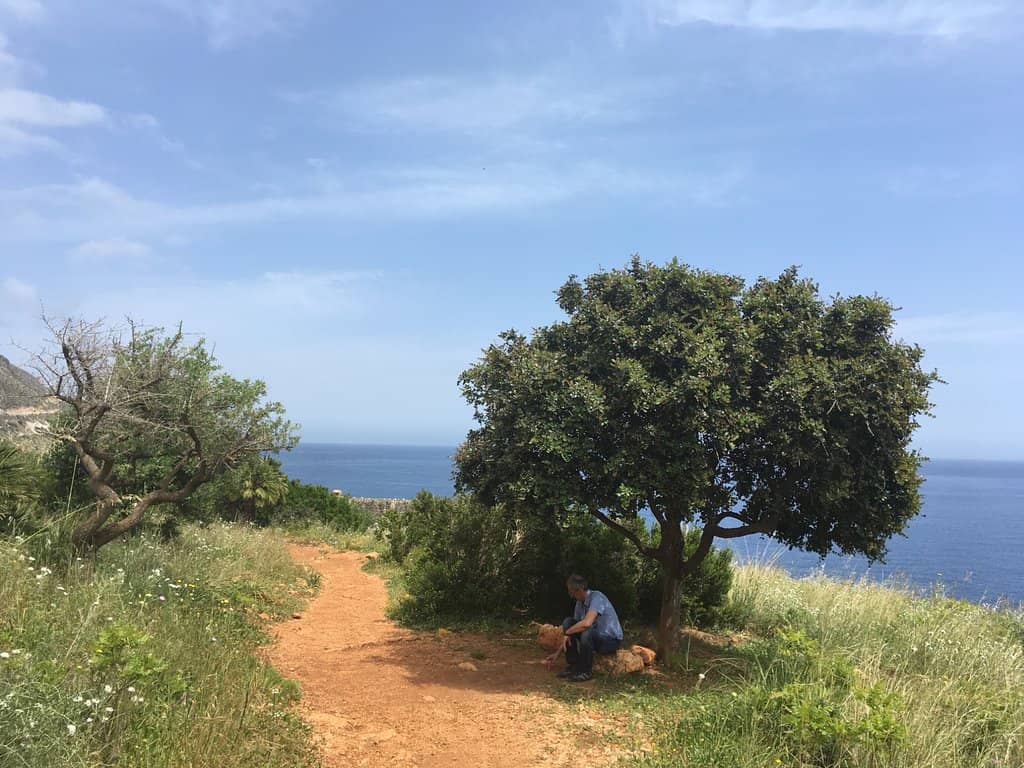Rocky Shoreline Beauty