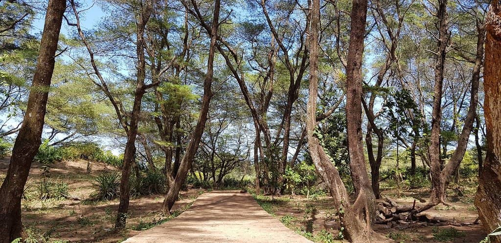 Breathtaking Sunset Views