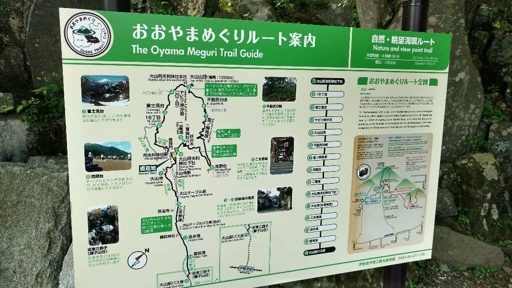 Northern Lights Viewing