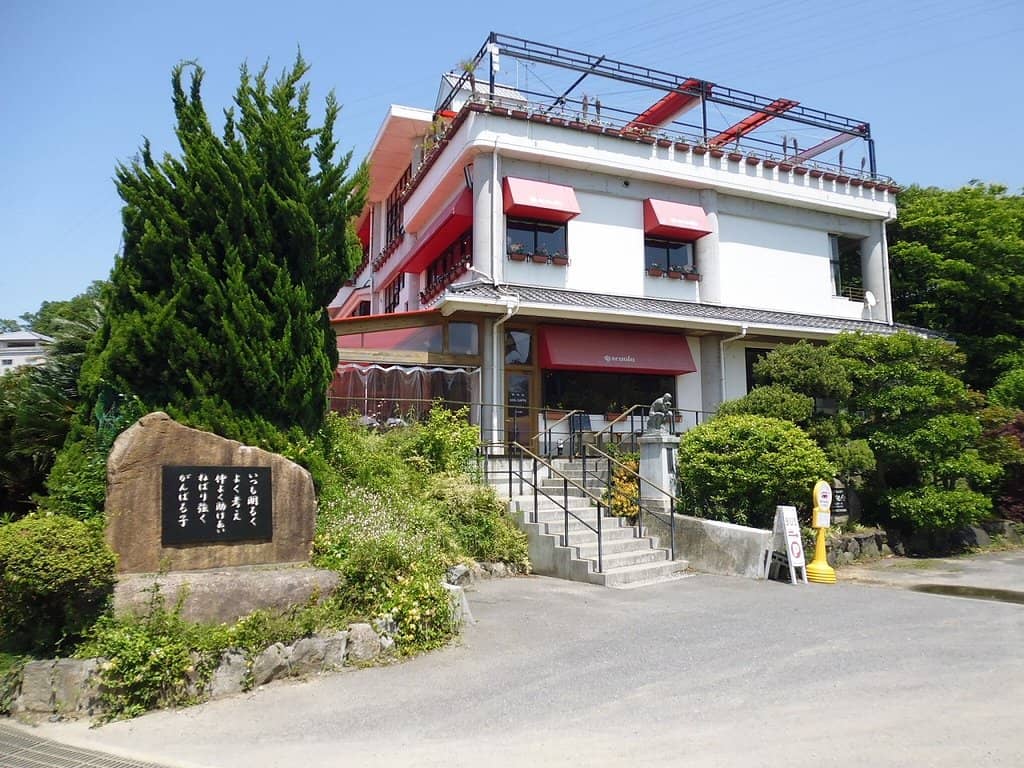 Adorable Animal Encounters