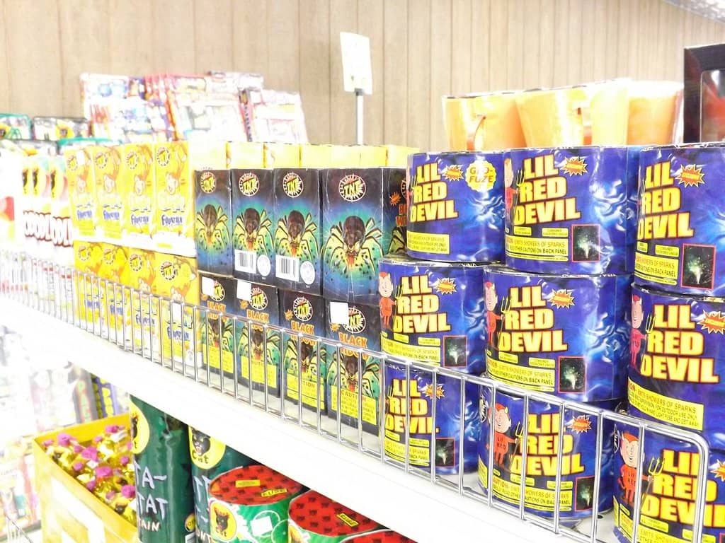 Delicious French Fries