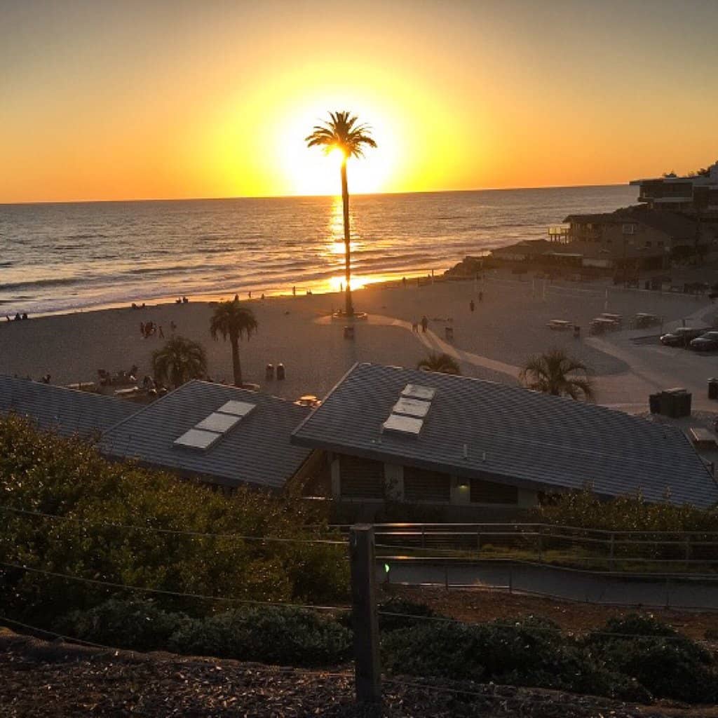 Playground & Family Zone