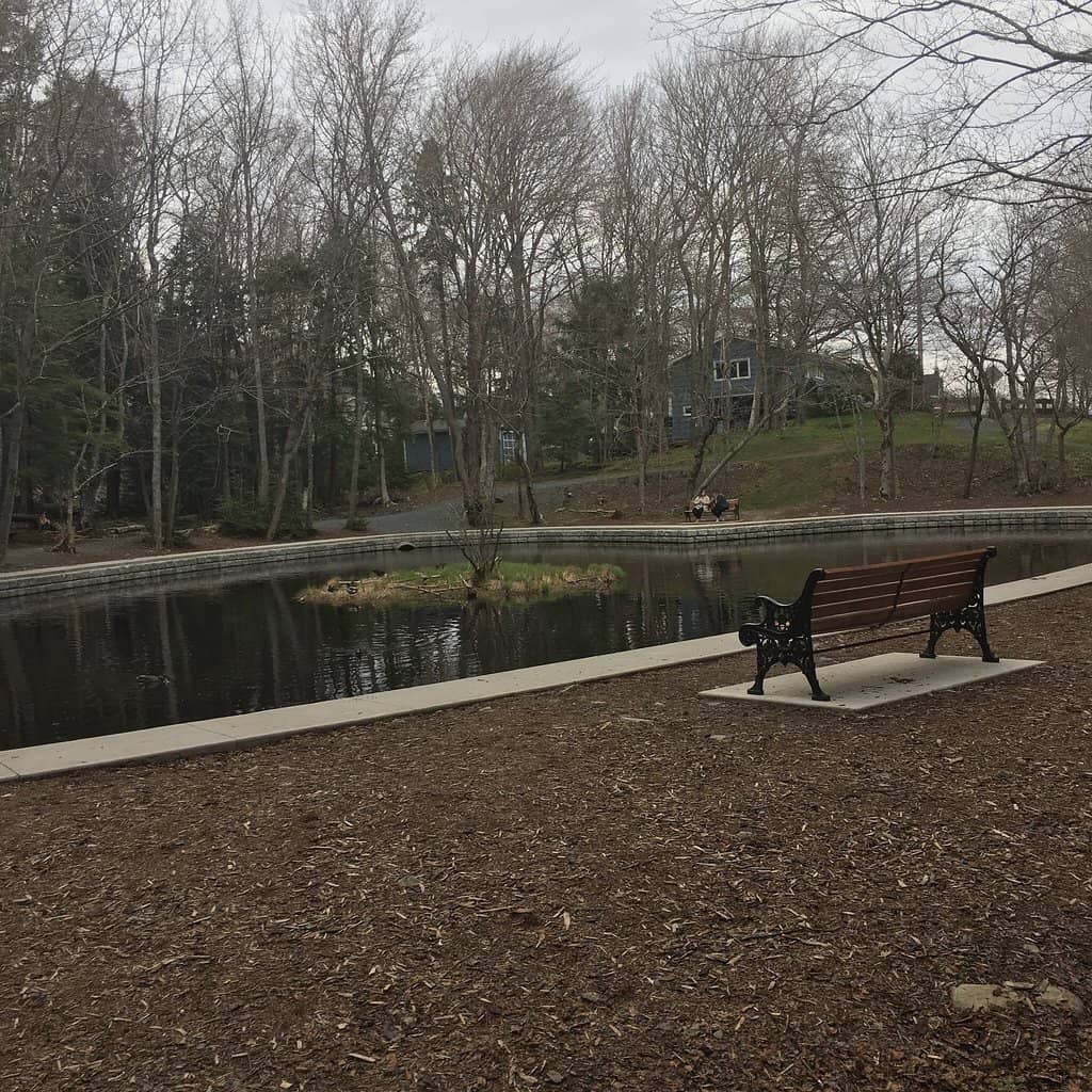 Scenic Forest Trails