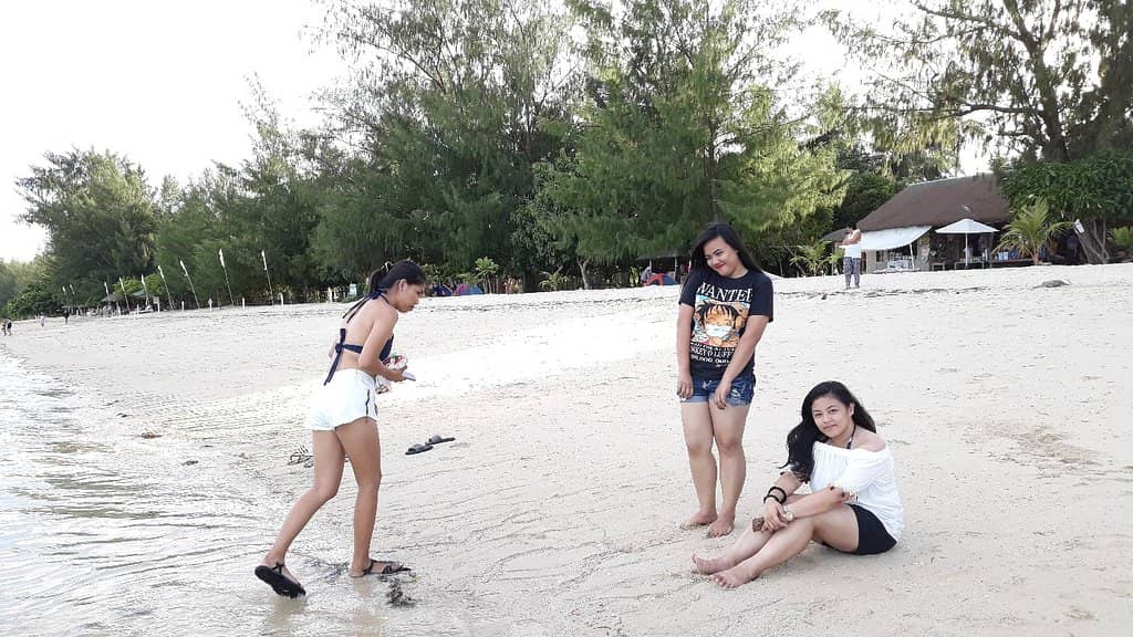 Snorkeling & Marine Life