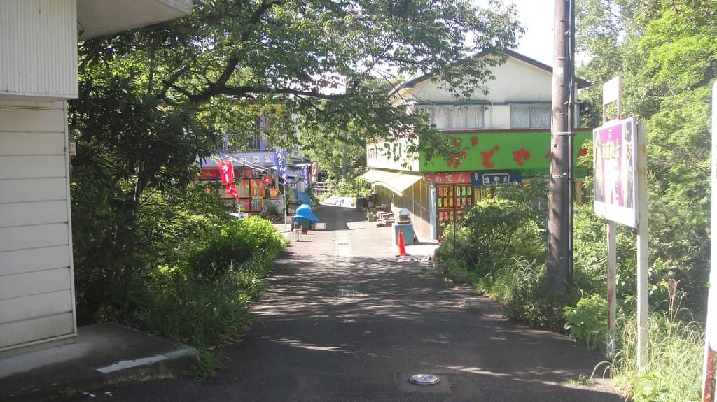 Interior Ascent and Views