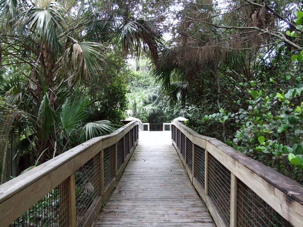 Horseback Riding Trails