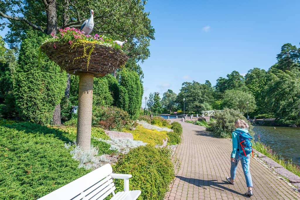 Vibrant Flower Displays