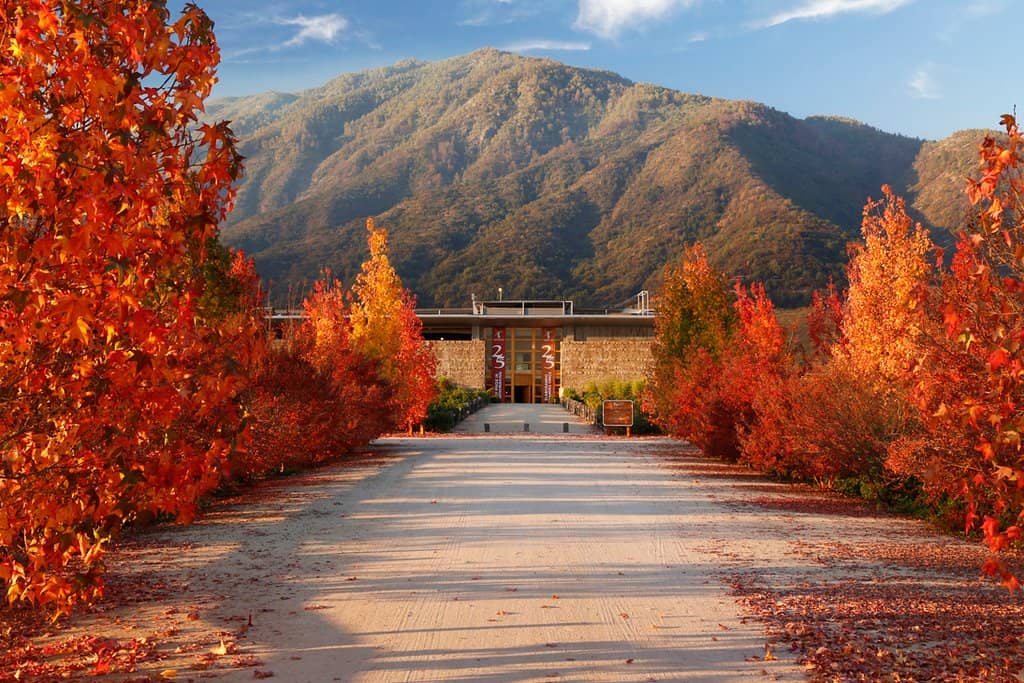 Iconic Wine Tastings