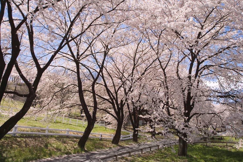 Scenic Views & Nature