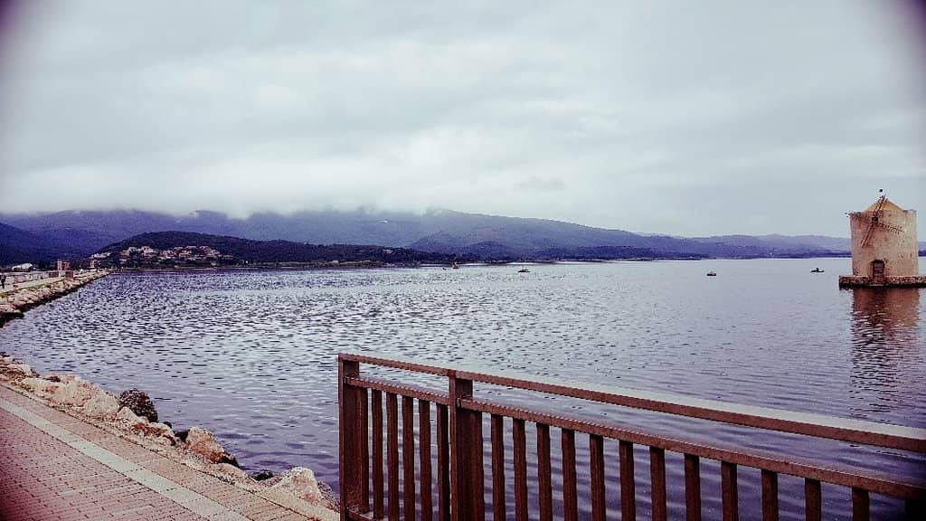 Pink Flamingo Spectacle