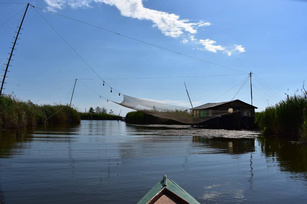 Lake Massaciuccoli Views