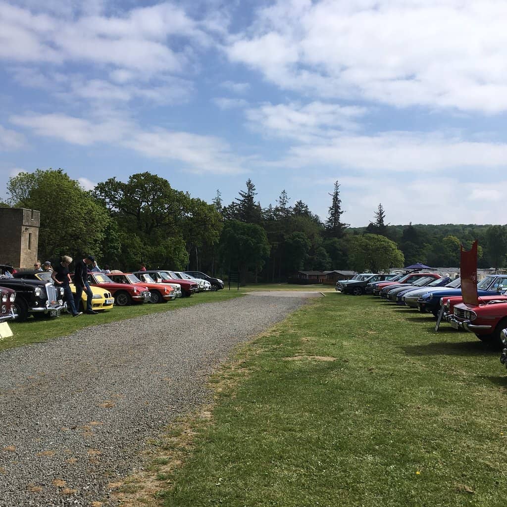 Dog-Friendly Cafe Patio