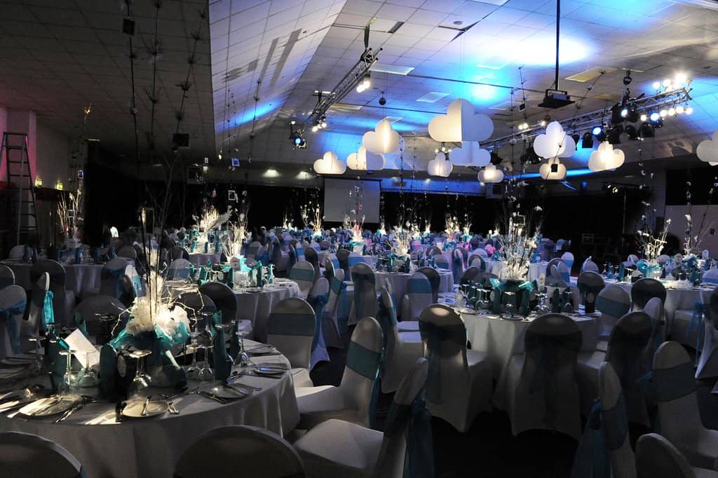 Greyhound Racing Nights