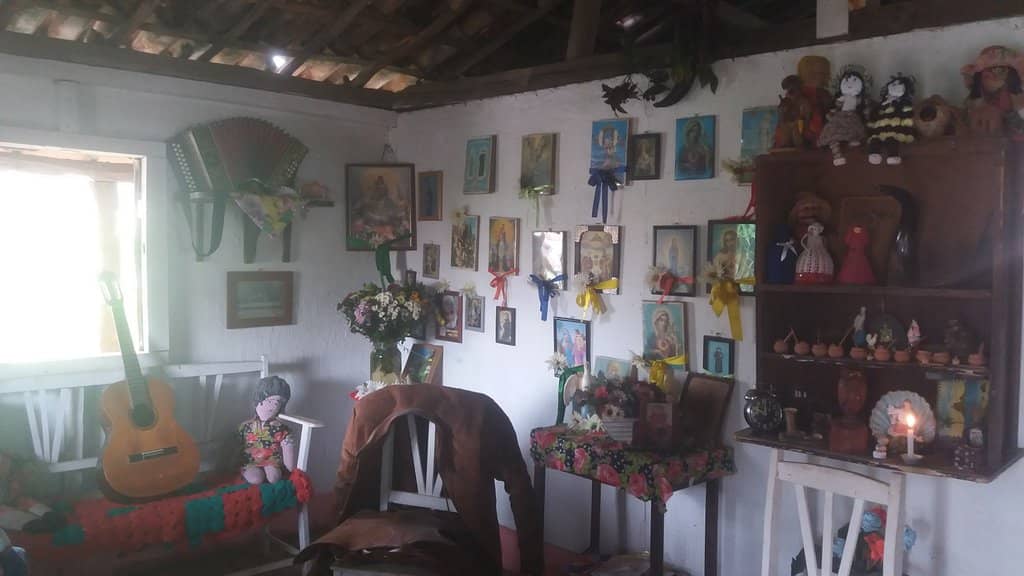 Regional Culinary Delights