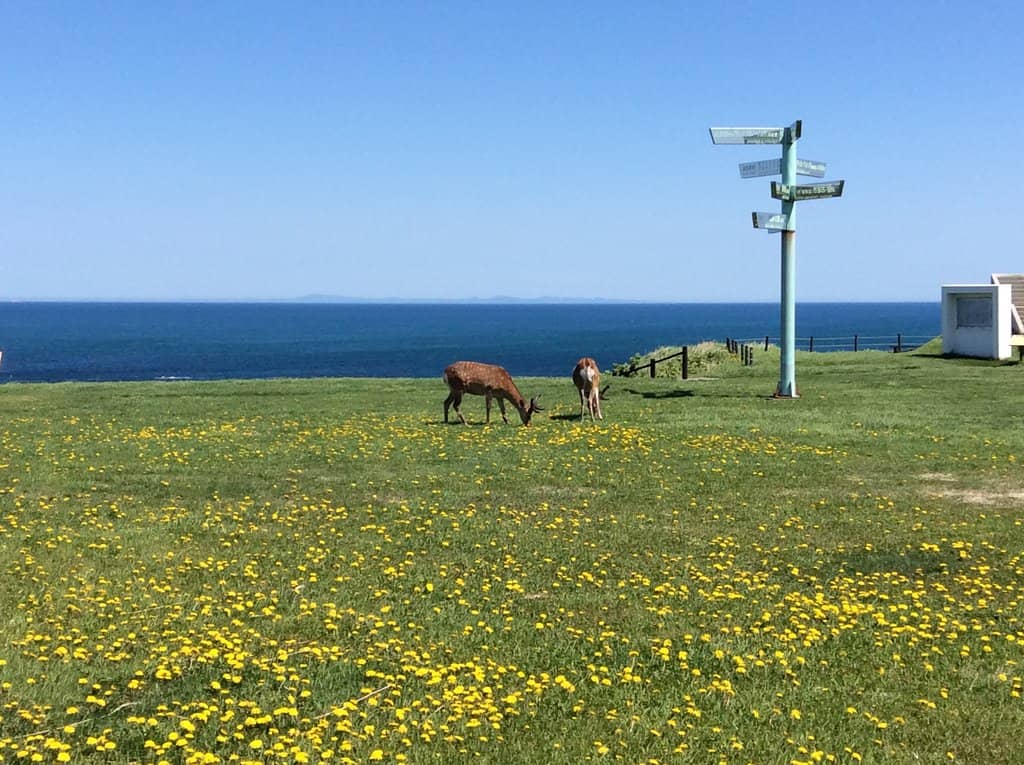 Cape Soya Lighthouse