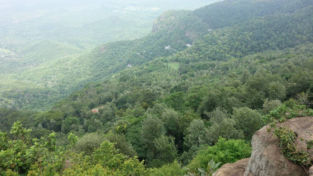 Panoramic Yercaud Views