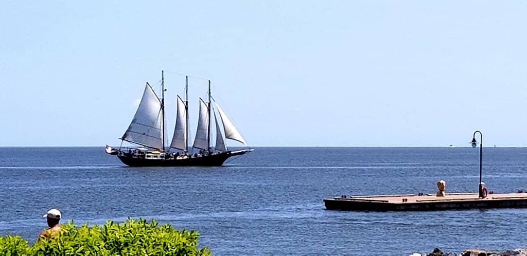 Sounds of Summer Concert Series