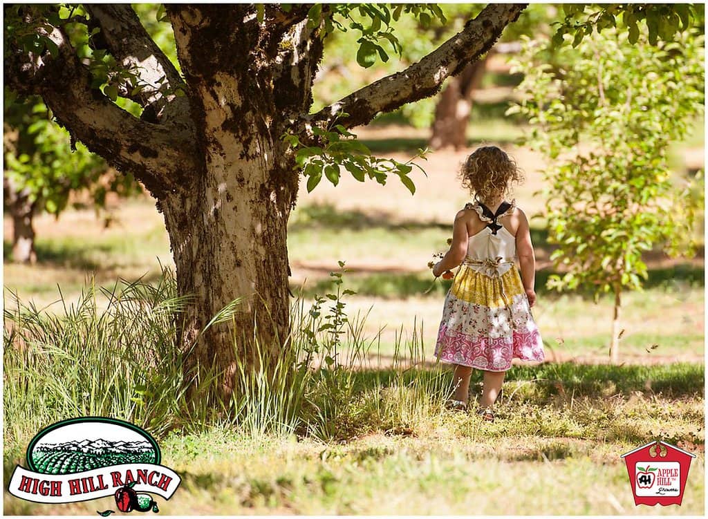 Kid-Friendly Attractions