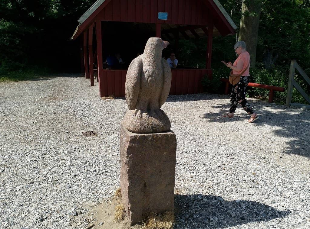 Delicious Fish & Chips