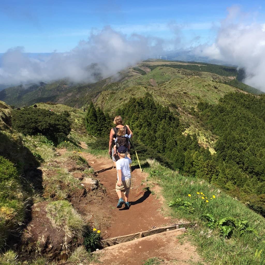 Native Laurel Forest Trail