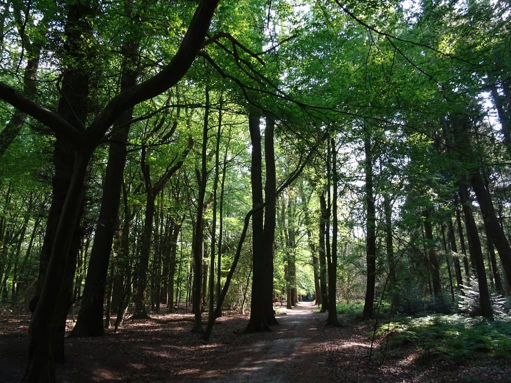 Petting Zoo Adventures