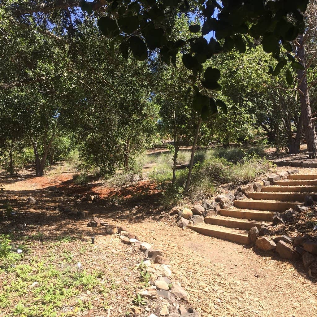 Panoramic Hilltop Views