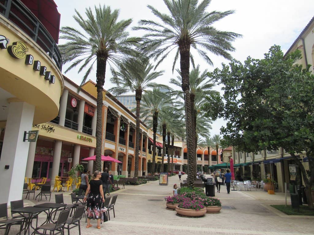 Dining and Shopping Delights