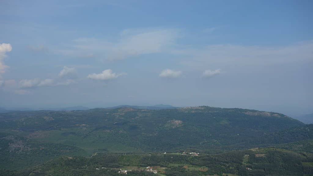 Scenic Drive & Pine Forests