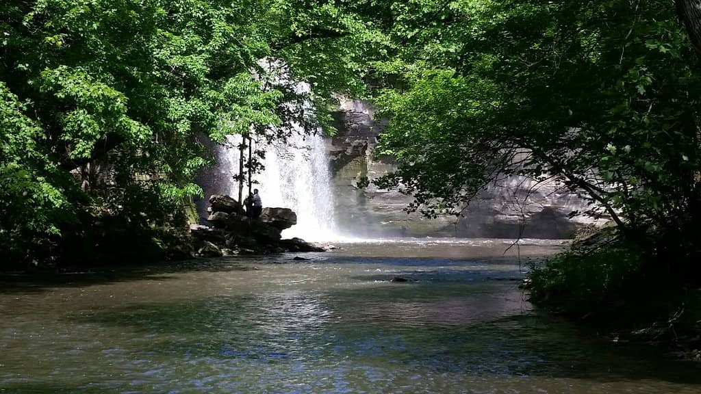 Scenic Hiking Trails