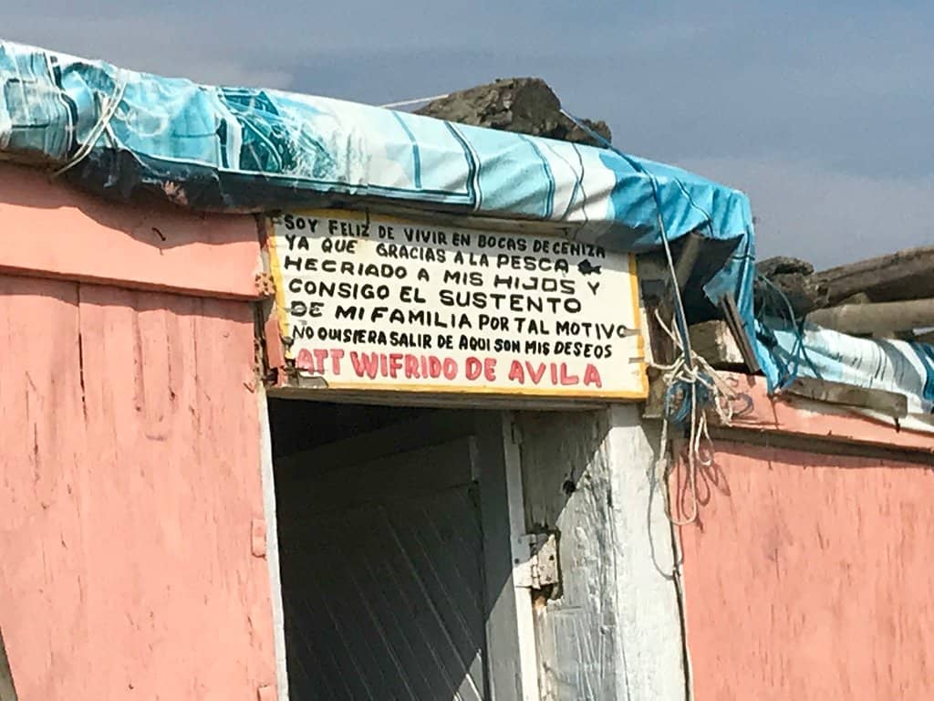 The Bocas de Ceniza Train