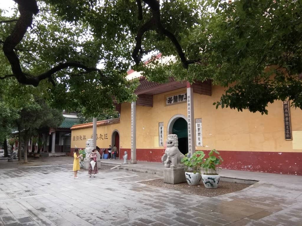 Lotus Pond & Pigeons