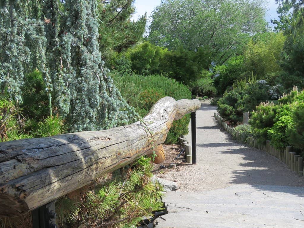 Picturesque Bridge View