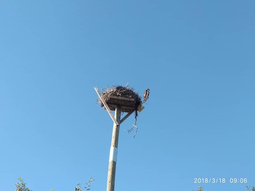 Kayak & Paddleboard Launch