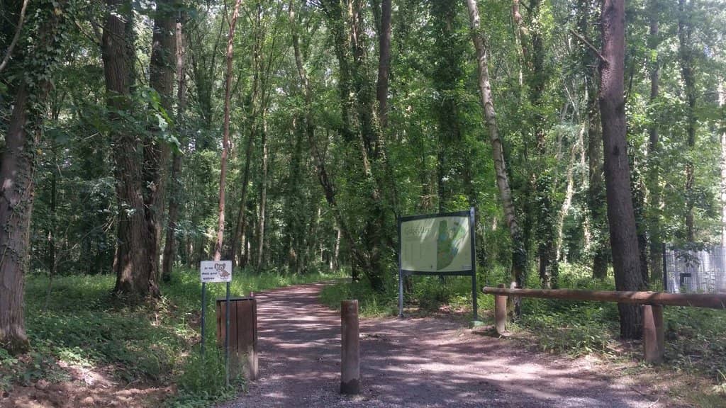 Family Fun Playground