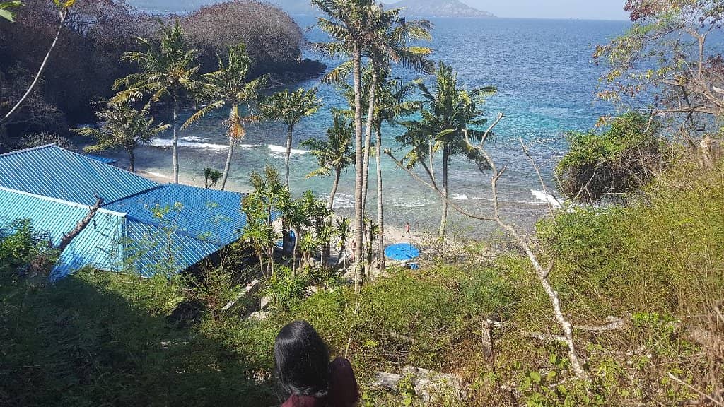 Peaceful Beach Ambiance
