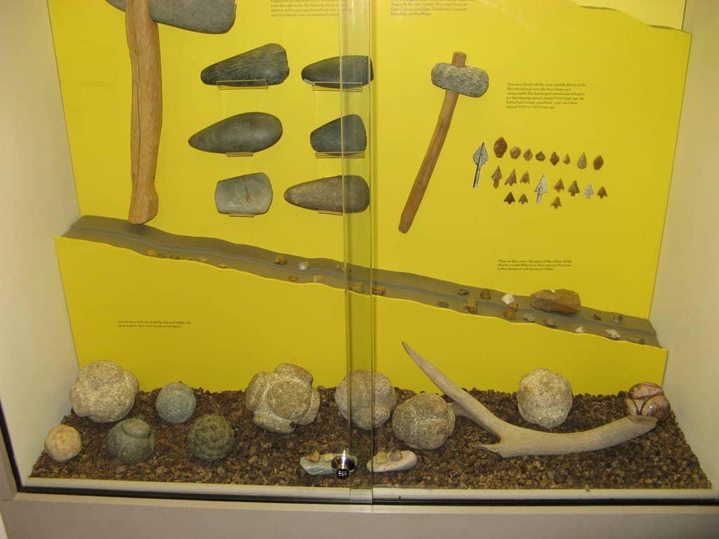 Art & Natural History