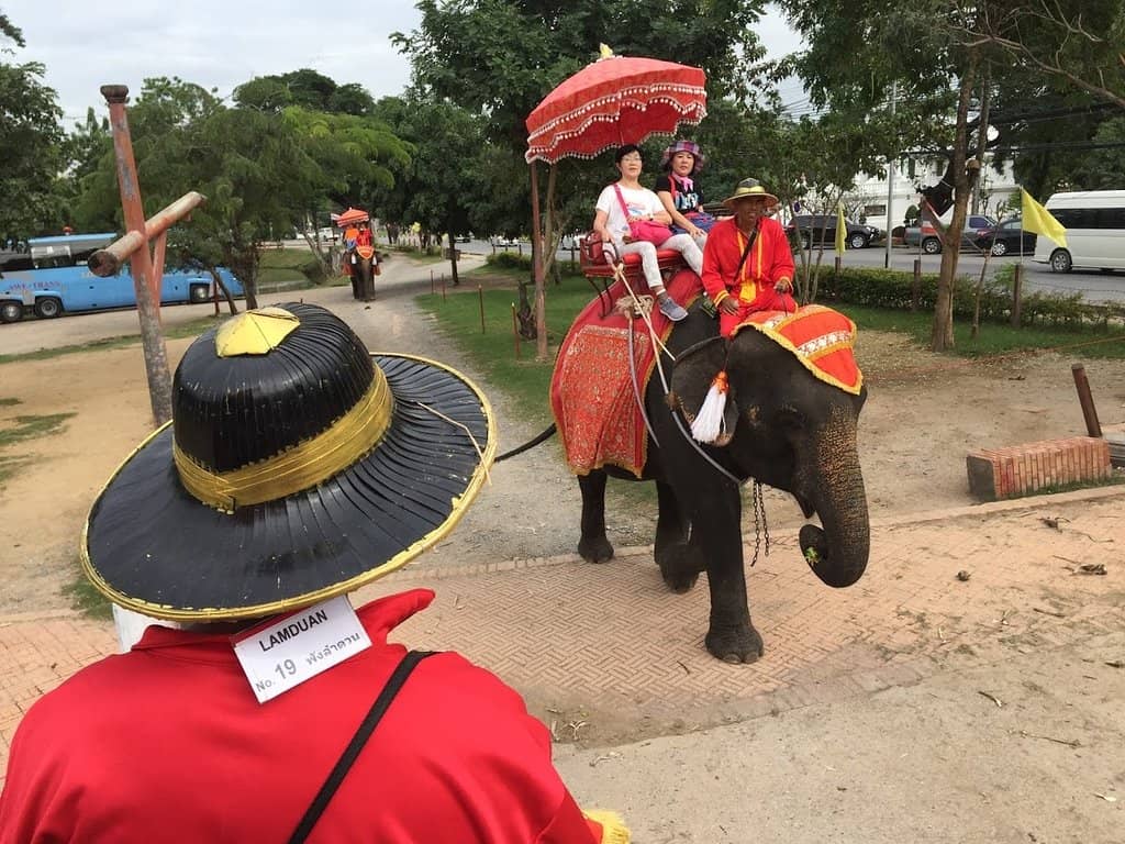 Feed the Gentle Giants