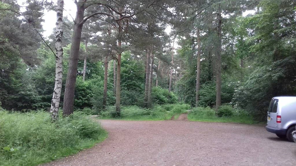 Mountain Biking Trails