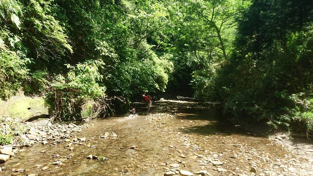 Tranquil Natural Setting