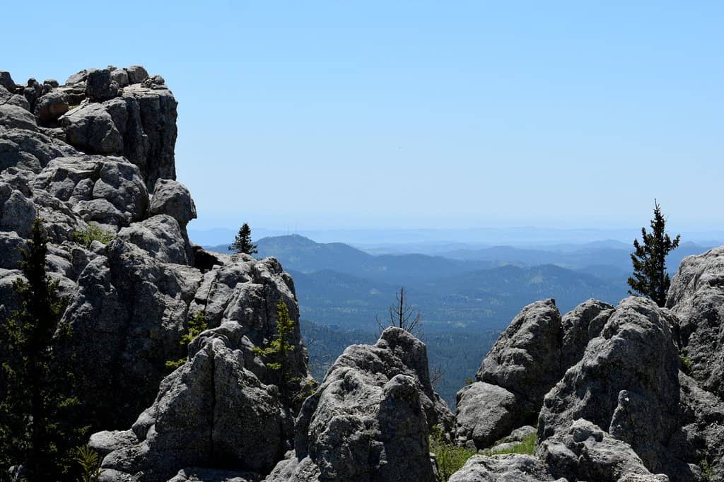 Panoramic Black Hills Views